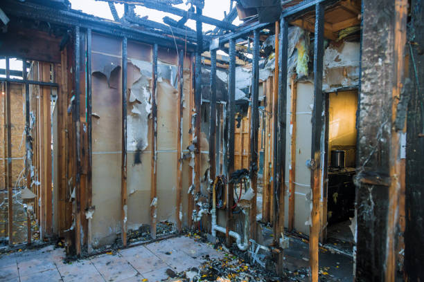 Professional Smoke Damage Removal technician working in Riverside, NJ